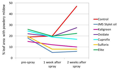 Effect of post-infection graph