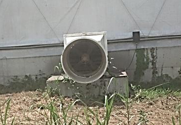 fan - pig barn