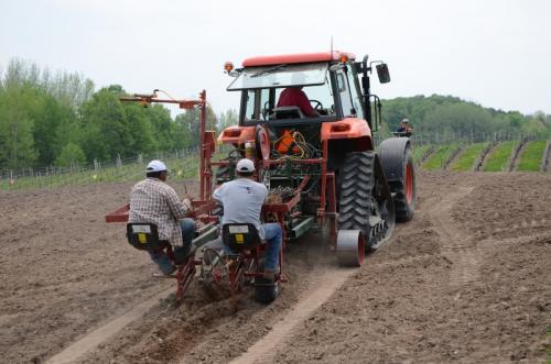 tractor creating vineyard