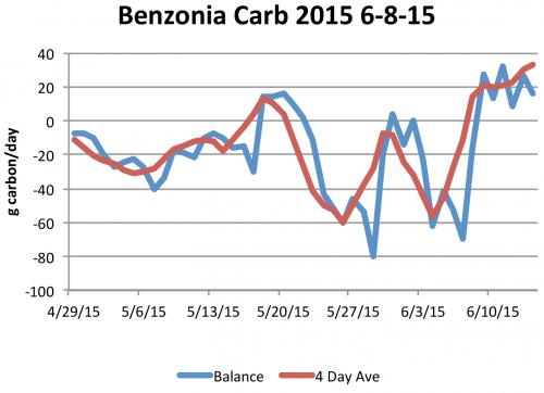 Benzonia Carbohydrate model