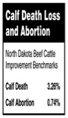 Calf death loss and abortion.
