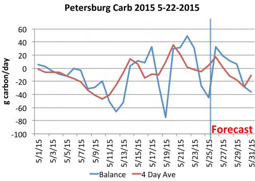 Carbohydrate thinning model