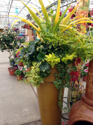 Mustard-yellow flower container