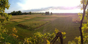 Farm in Mason, MI