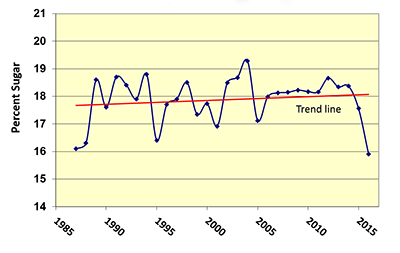 Michigan Sugar Company average grower sugar chart