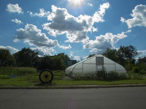 Flint River Farm Hoop House