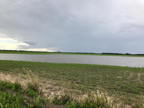 flooded field