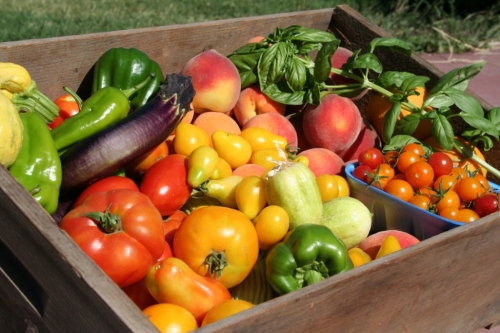 basket of fruits and vegetables