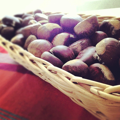 Chestnuts in a basket