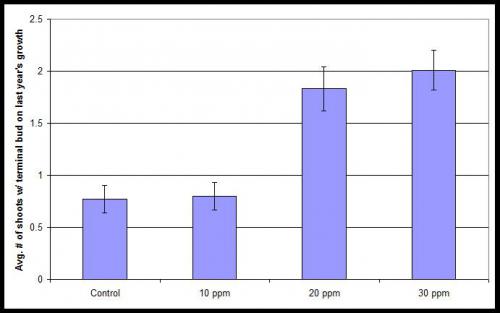 Graph of Average number of shoots with terminal buds in a Balaton orchard.