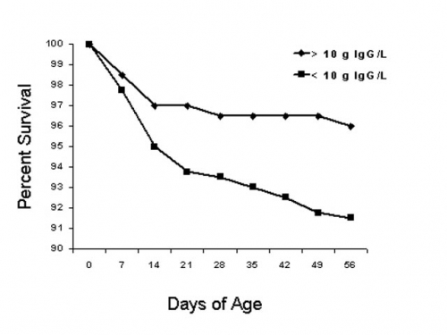 Survival rate of calves with blood Ig levels below 10 g/L at 24 hours old.