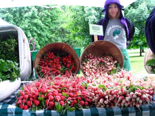 Radishes at farmers market