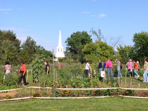 The Seeds of Hope garden