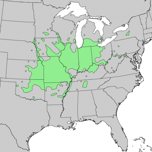 Gymnocladus dioicus range map