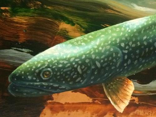 Detail of a Lake Trout from Forces of Change panel
