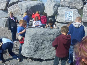 Students looking for fossils