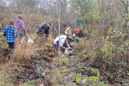 Students collecting samples on riverbank.