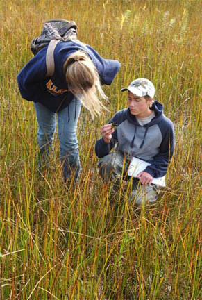 Alcona High School/Negwegon State Park - students exploring the wetland image.