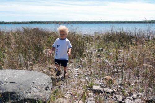 Child walking at lakeshore image.