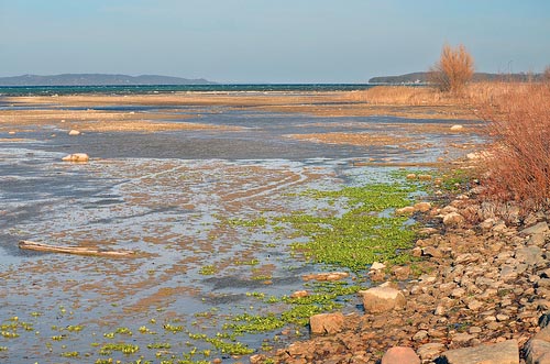 East Arm of Grand Traverse Bay image