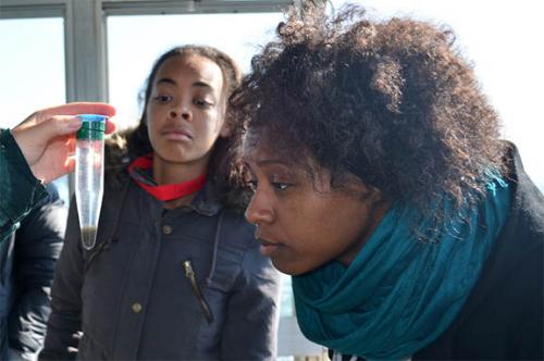 Students examining plankton image.