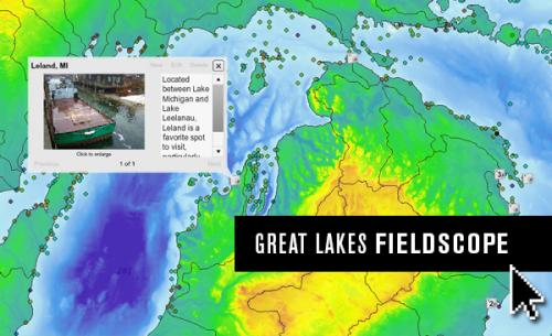 Great Lakes Fieldscope wordmark image.