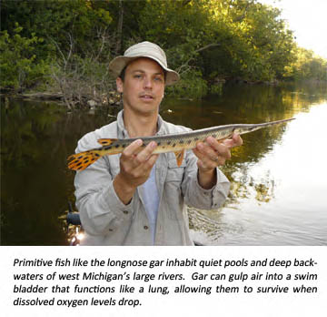 Beyond bass: The Grand River is home to an incredible number of fish  species - MSU Extension