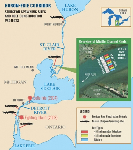 Sturgeon habitat restoration map.