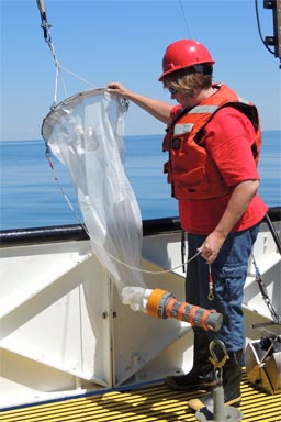 Teacher gathering samples on Lake Huron.