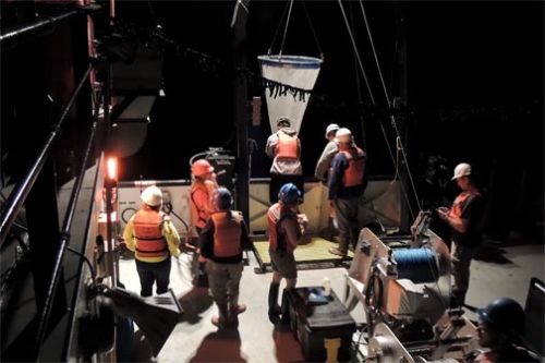 Teachers and scientists gathering samples in Lake Huron at night.