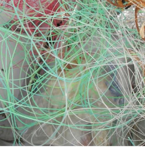 Tangled monofilament fishing line image.