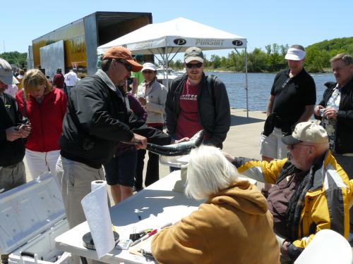 Fish weighing at tournament.