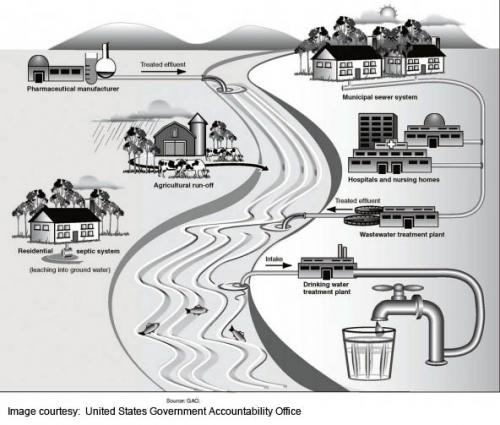 Infographic on how pharmaceuticals get into our water supply.