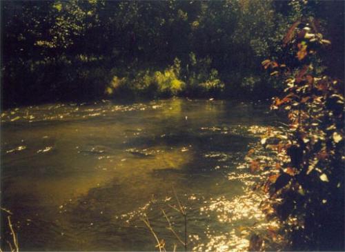 Pere Marquette River image.