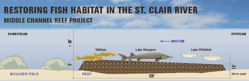 Reef construction for fish spawning.