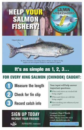 Salmon Ambassador poster image.