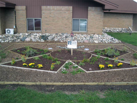 School garden image.