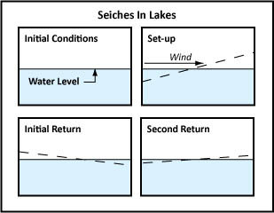 Siche in a lake image.