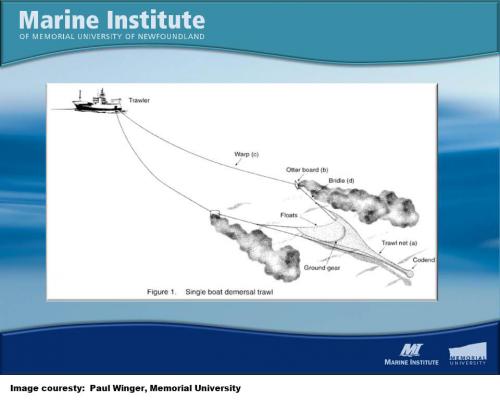 Single boat demersal trawl image.