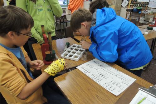 Students studying samples image.