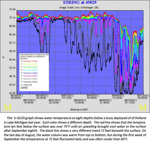 Fishing Water Temperature Chart