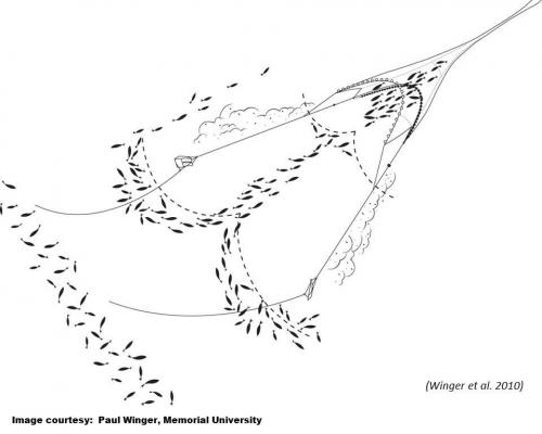 Trawl with fish activity illustration.