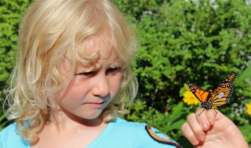 Young girl with Monarch butterfly on her hand.