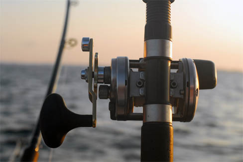 Rod and reel closeup image.