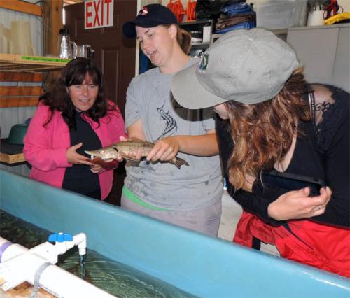 Teachers in sturgeon hatchery image.