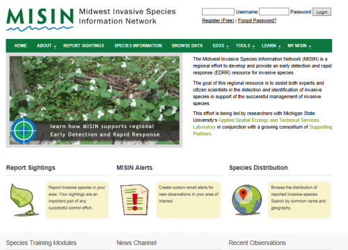 2020 Crossword Puzzles - MSU Extension Invasive Plants