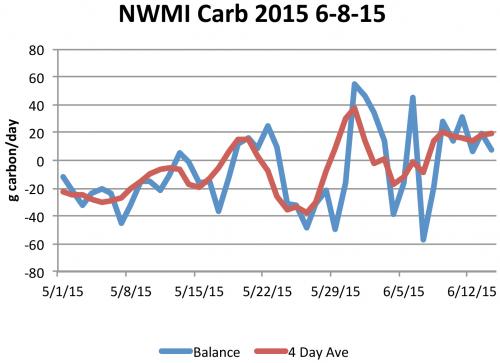 Carbohydrate Thinning Model