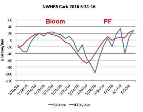 Graph of carbohydrate model for the Northwest Michigan Horticulture Research Center for May 31, 2016.