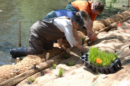 Trainees install a natural shoreline during the field component of Certified Natural Shoreline Professional. Photo by Bob Schutzki.
