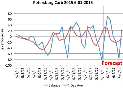 Petersburg Carbohydrates Model